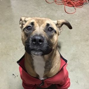 Meet your Posher, Eva